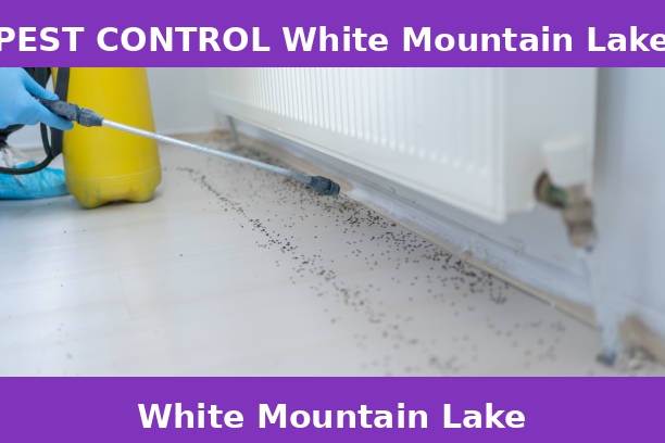 PEST CONTROL White Mountain Lake